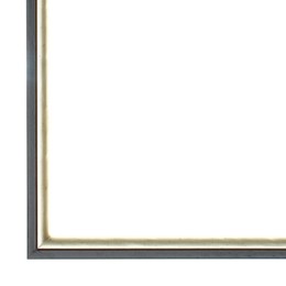 Filet  (let op! geen lijst) schilderijlijst van de serie CANALETTO in de kleur zilver
