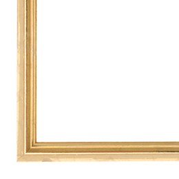 Filet  (let op! geen lijst) schilderijlijst van de serie CHATEAU in de kleur goud