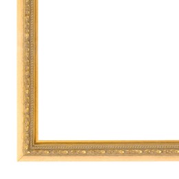 Filet  (let op! geen lijst) schilderijlijst van de serie IMPERIAL in de kleur goud