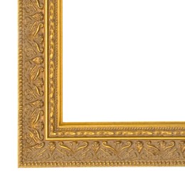 Ornament goud smal schilderijlijst van de serie IMPERIAL in de kleur goud
