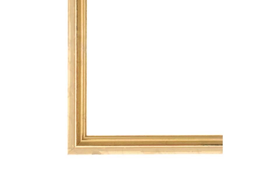 Filet  (let op! geen lijst) schilderijlijst van de serie CHATEAU in de kleur goud
