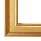 Gold schilderijlijst van de serie ACADEMIE in de kleur goud