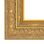 Ornament goud breed schilderijlijst van de serie IMPERIAL in de kleur goud